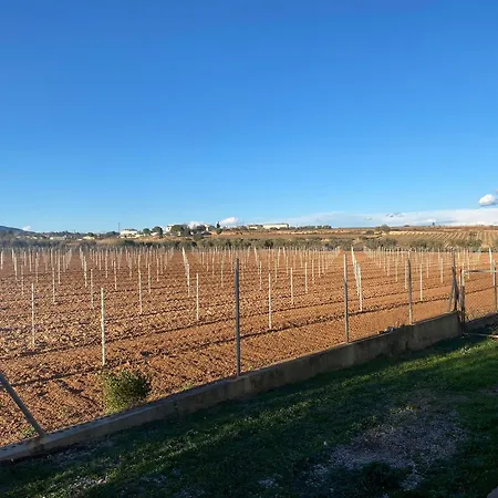 La Geneta Casa Vacacional Holiday home Vilobi Del Penedes