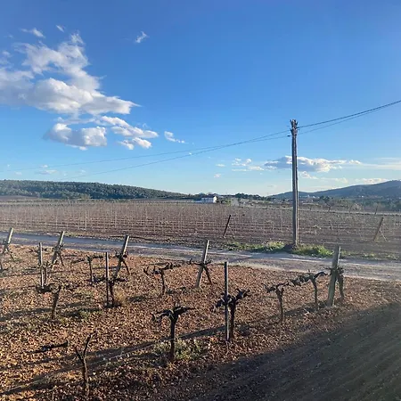 La Geneta Casa Vacacional Vilobi Del Penedes