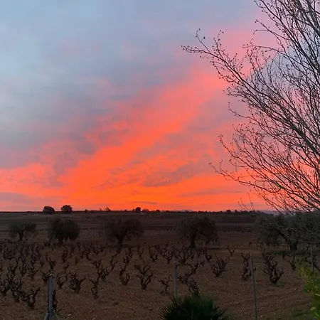 Holiday home La Geneta Casa Vacacional Vilobi Del Penedes