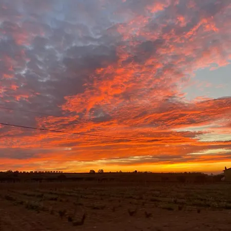 La Geneta Casa Vacacional Vilobi Del Penedes