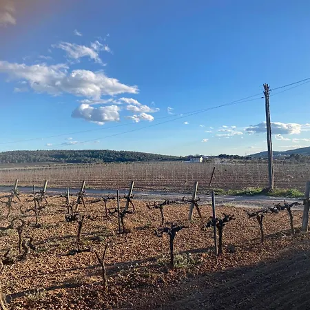 La Geneta Casa Vacacional Tatil Evi Vilobi Del Penedes