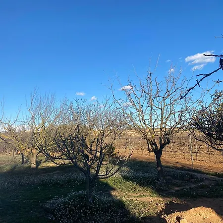 La Geneta Casa Vacacional Tatil Evi Vilobi Del Penedes